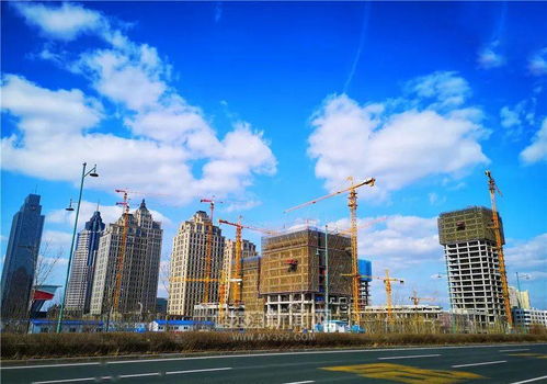 物业 公共绿地面积 楼间距都有要求丨黑龙江下发完善棚改工作意见的通知