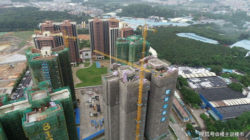 曾是广州市油制气厂的地块,现在摇身一变成了天河房地产界的香馍馍